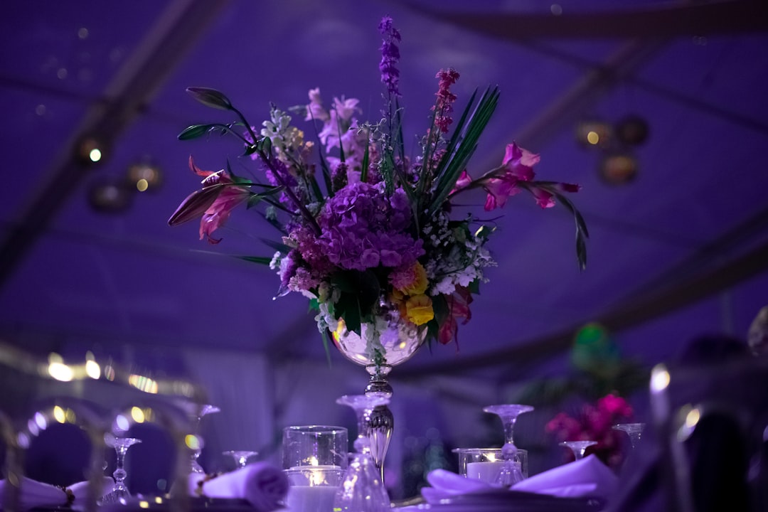 a-vase-filled-with-purple-flowers-on-top-of-a-table-cgnnydo1pcy